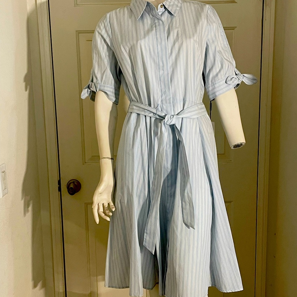 Working Woman Calvin Klein Flair Dress